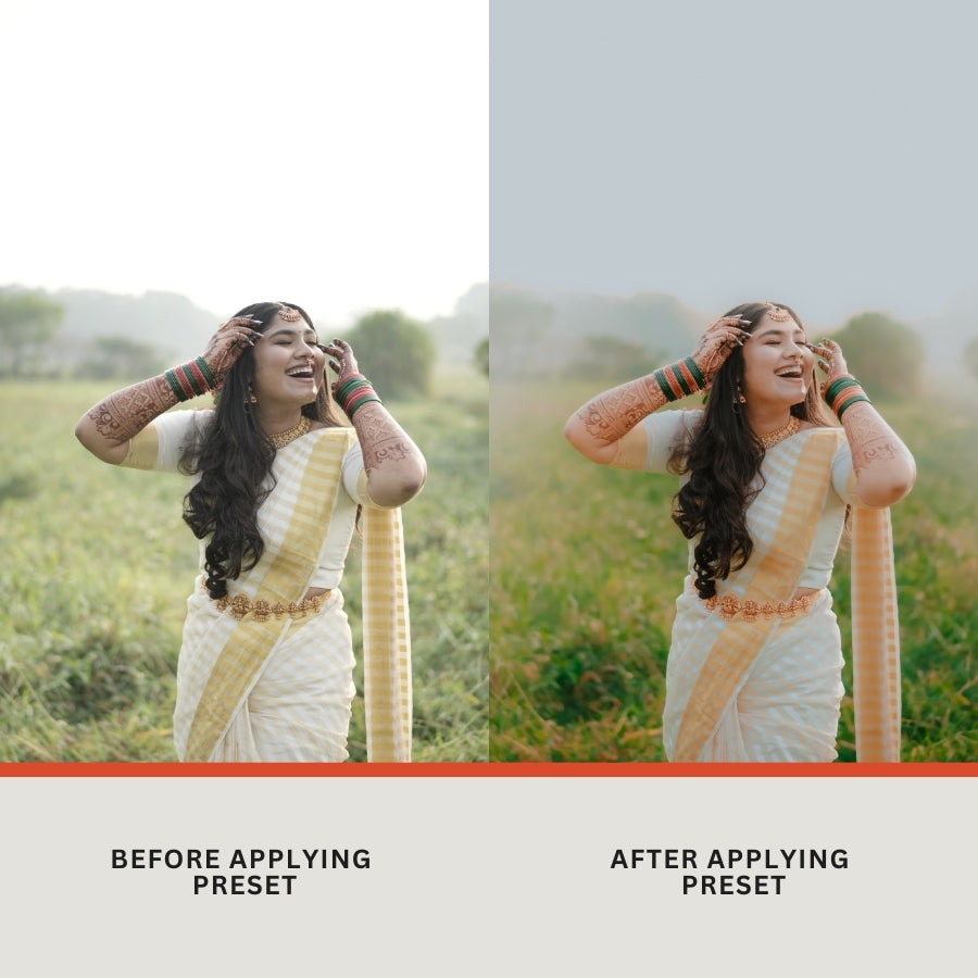 Premium Wedding Presets