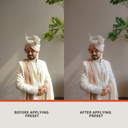Premium Wedding Presets