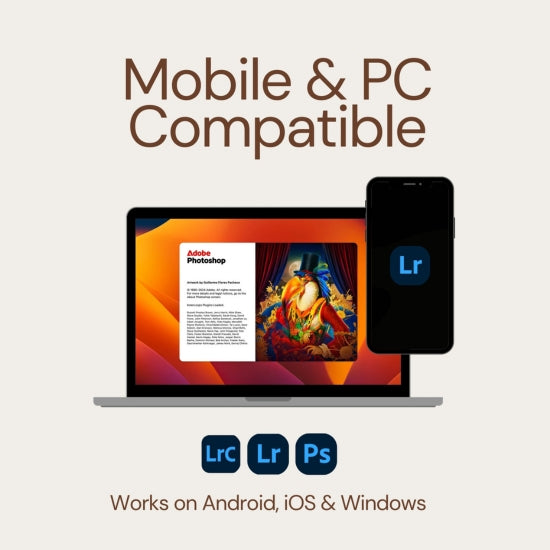 Premium Wedding Presets